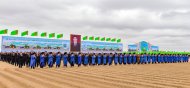 В Туркменистане начался сев хлопчатника