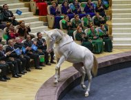 Фоторепортаж: в Аркадаге состоялось чествование конной группы «Галкыныш»