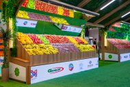 Фоторепортаж: В Ашхабаде продолжается выставка СППТ-2025