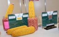 Фоторепортаж: В Ашхабаде открылась специализированная выставка «Iran AgroFood» 