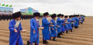 В Туркменистане начался сев хлопчатника
