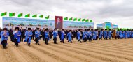 В Туркменистане начался сев хлопчатника