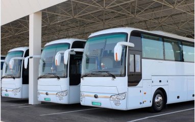 С 15 мая стартуют регулярные автобусные рейсы между Ашхабадом и «Авазой»