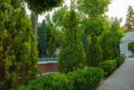 Летняя терраса Altyn Paradise Garden ждет гостей