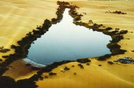 В Ашхабаде прошли Дни культуры Ливии