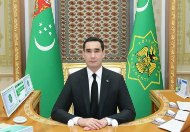 В Туркменистане готовятся к уборке зерновых и завершению посадки риса