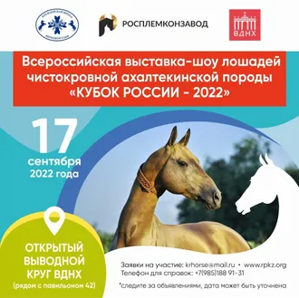 Arassa ganly ahalteke atlarynyň «Russiýanyň kubogy — 2022» atly bütinrussiýa şou sergisi